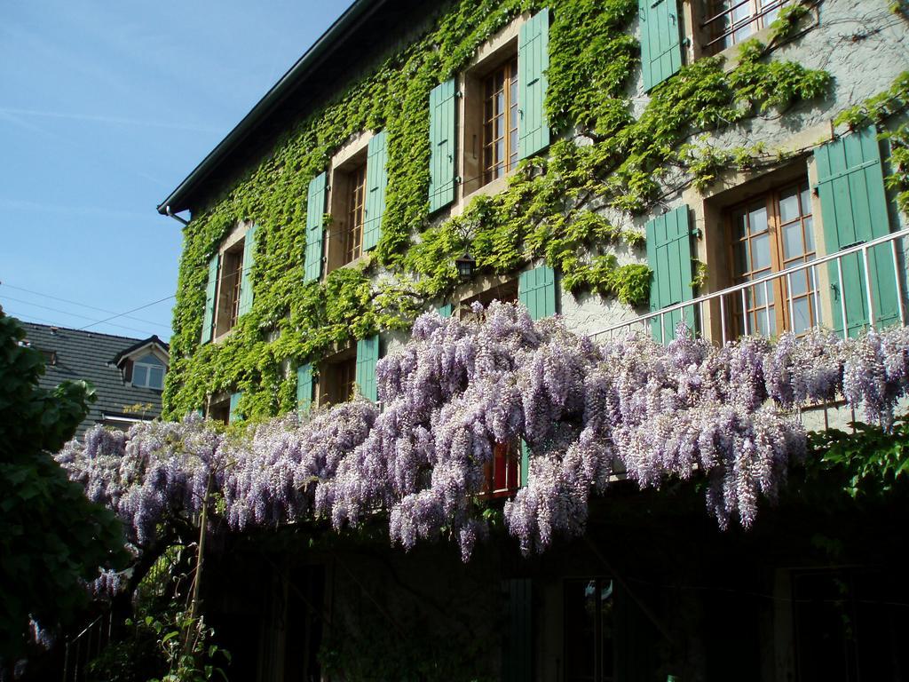 La Maison De Concise - Non Adapte Pour Les Enfants Ni Pour Les Mariages (Adults Only) Hotel Thonon-les-Bains Buitenkant foto